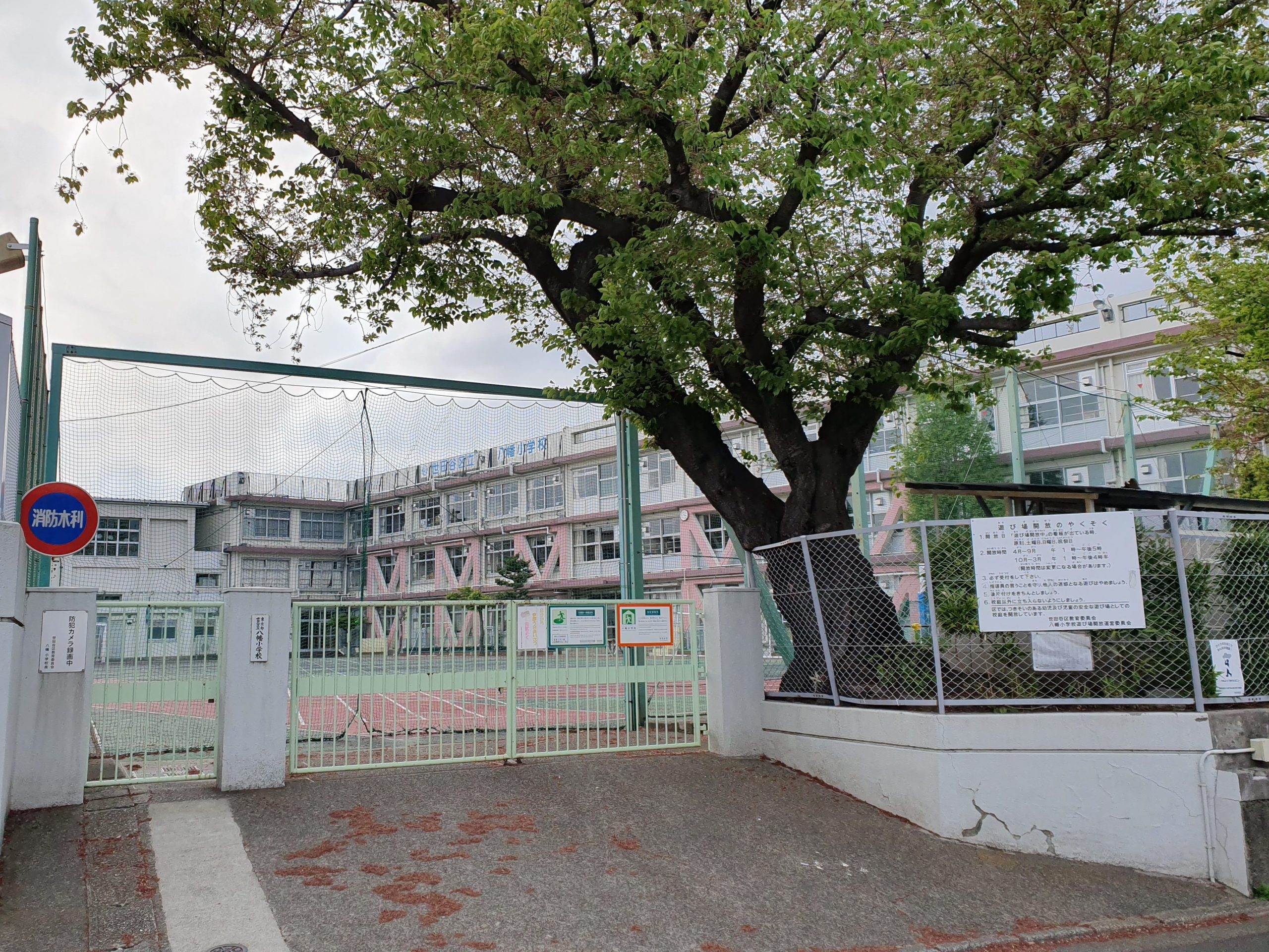 世田谷区立八幡小学校
