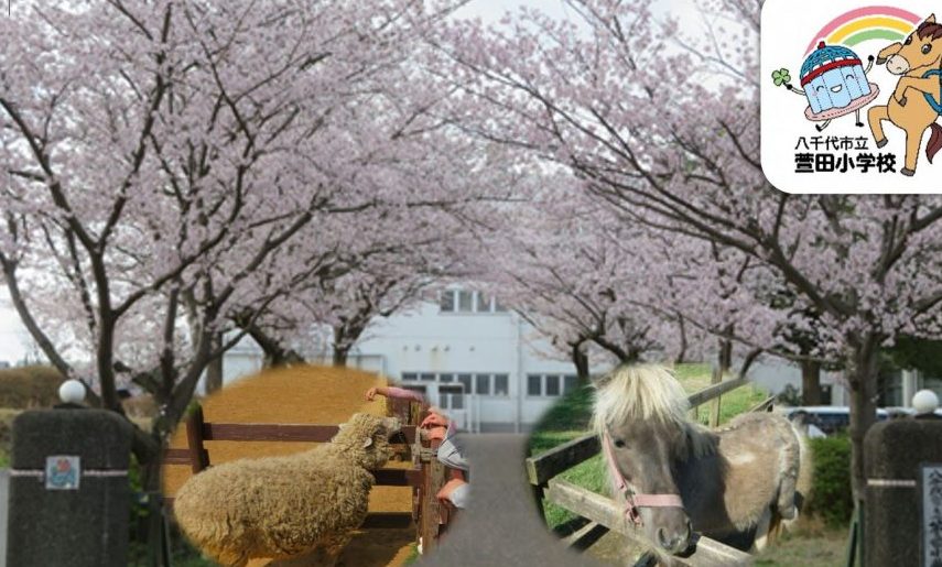 八千代市立萱田小学校