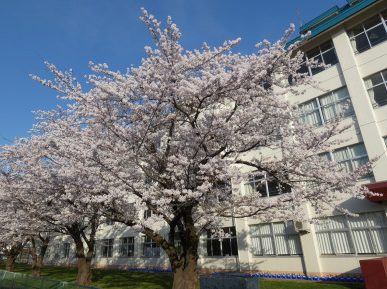 八戸市立長者小学校
