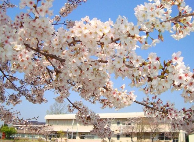八街市立二州小学校
