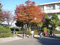 半田市立半田小学校