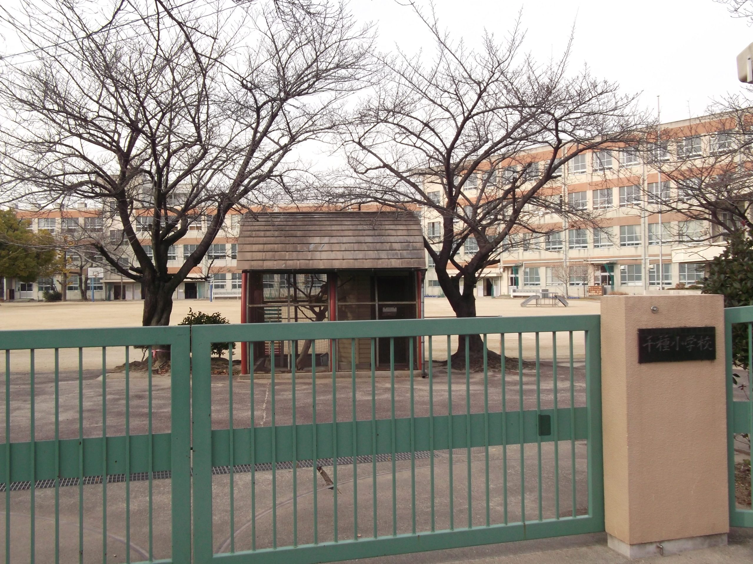 名古屋市立千種小学校