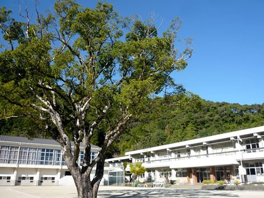 四万十市立八束小学校