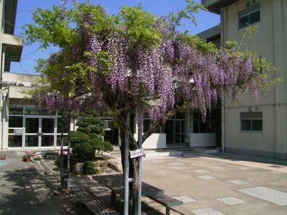 四日市市立三重北小学校