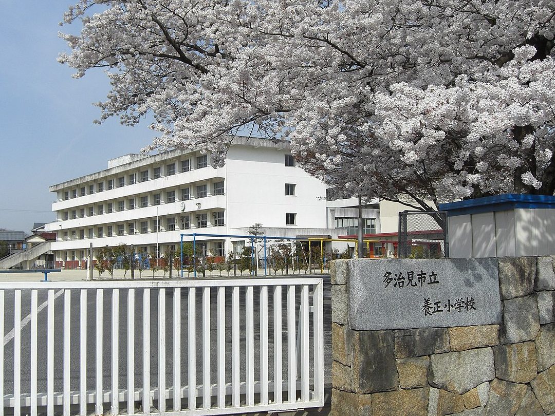 多治見市立養正小学校