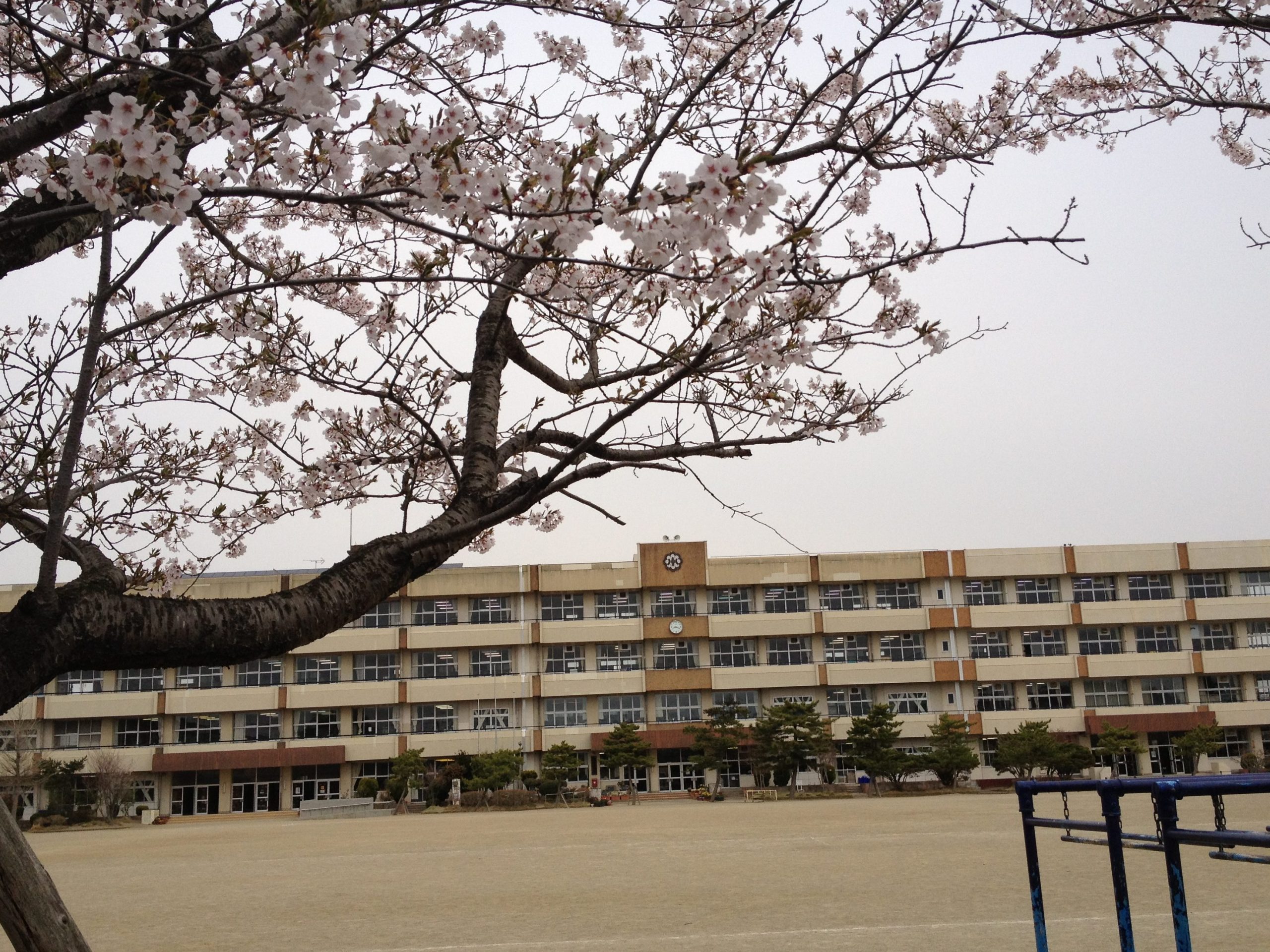 多賀城市立城南小学校