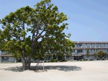 大村市立西大村小学校