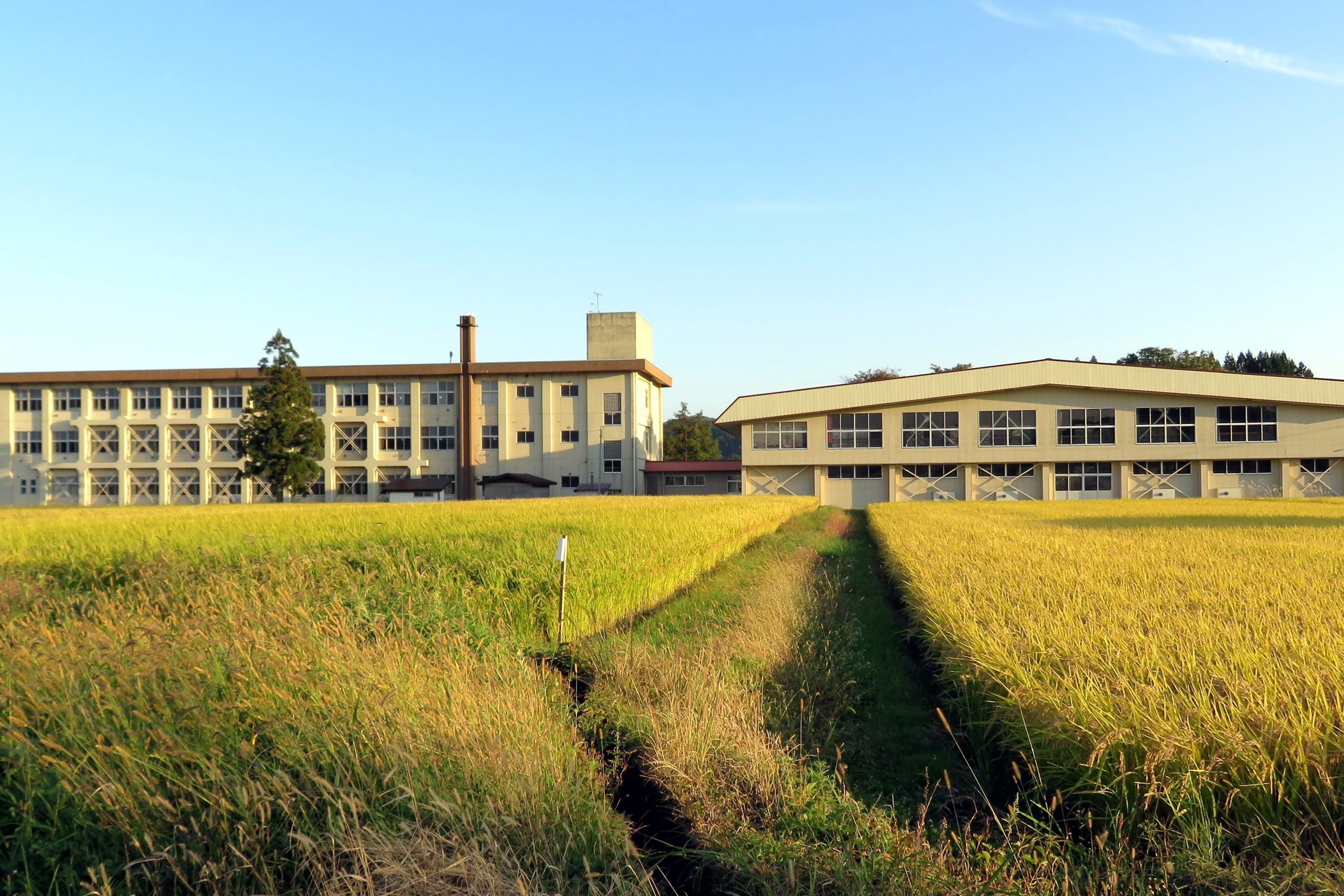 大館市立早口小学校