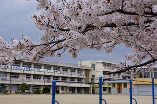 天理市立櫟本小学校