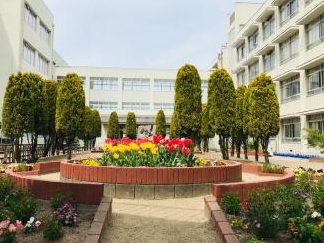 姫路市立高浜小学校