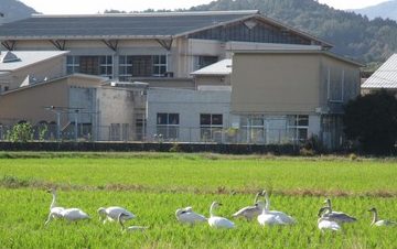 安来市立南小学校