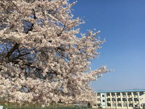 小千谷市立和泉小学校