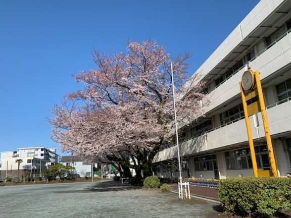 小平市立小平第七小学校