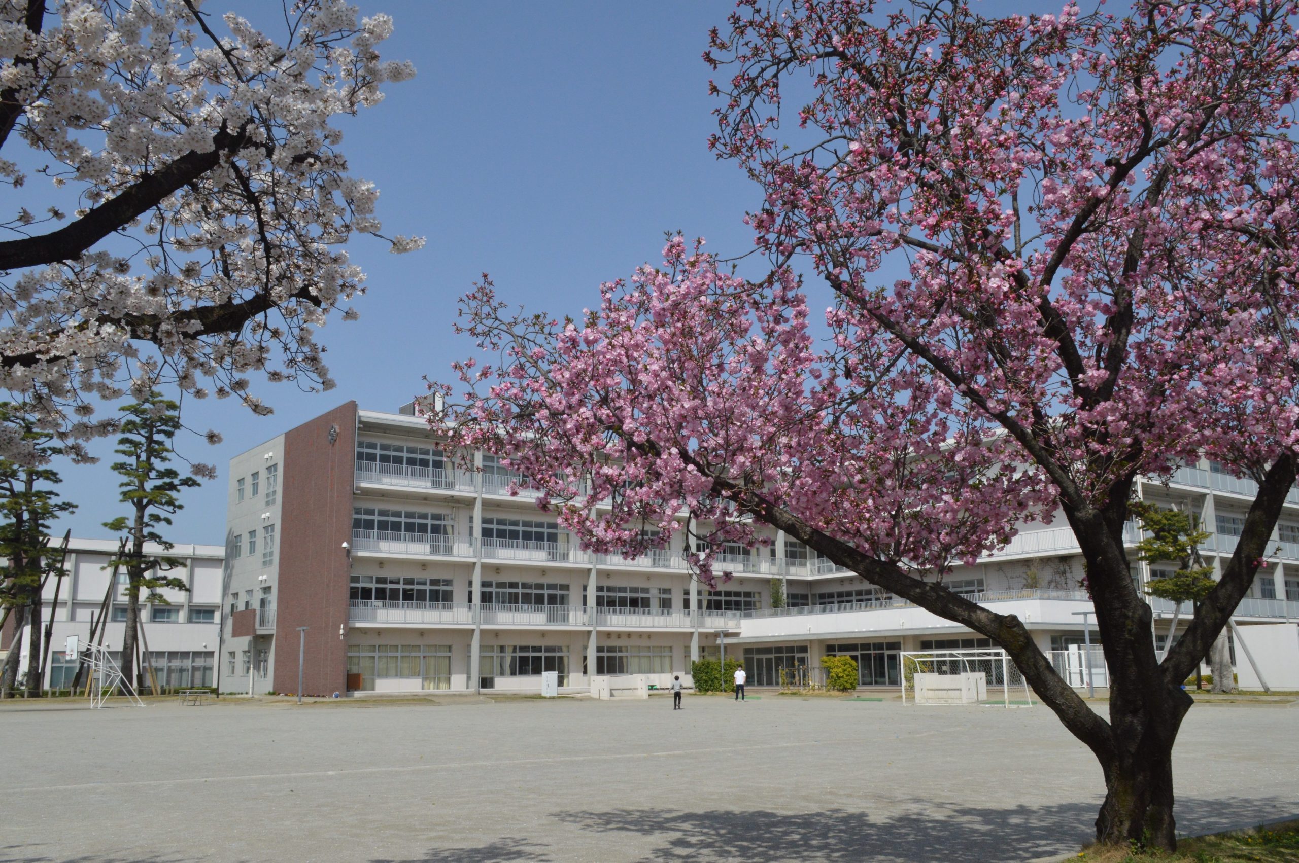 小牧市立小牧小学校