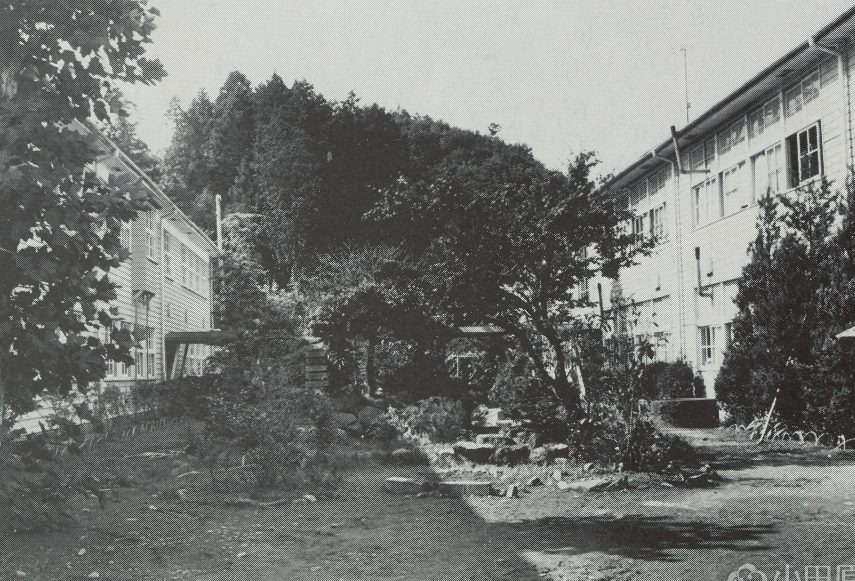 小田原市立下中小学校