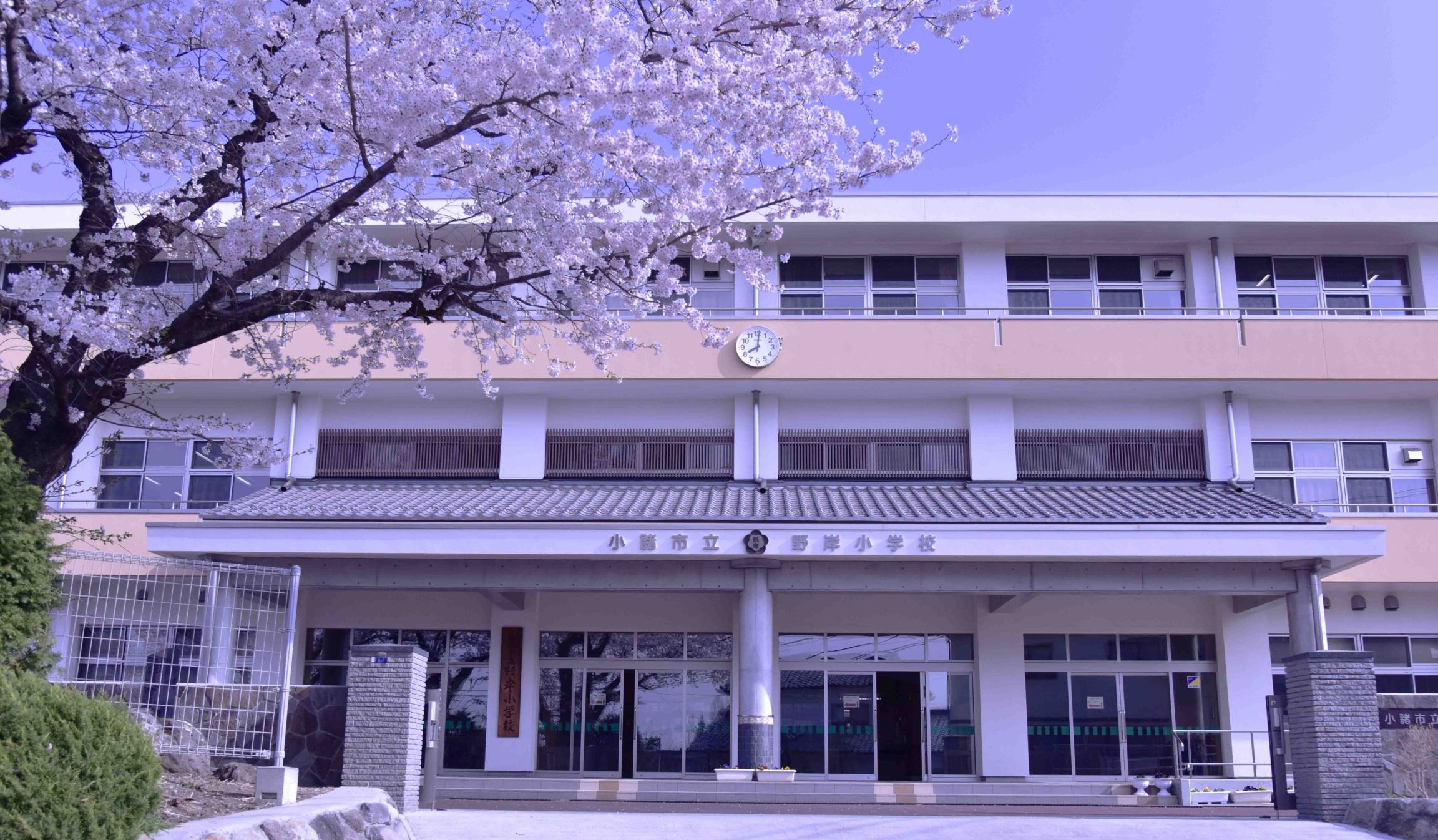 小諸市立野岸小学校