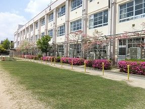 尼崎市立竹谷小学校