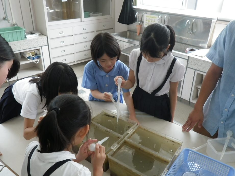 岡山市立高島小学校