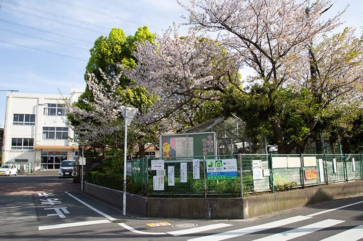 市川市立南新浜小学校
