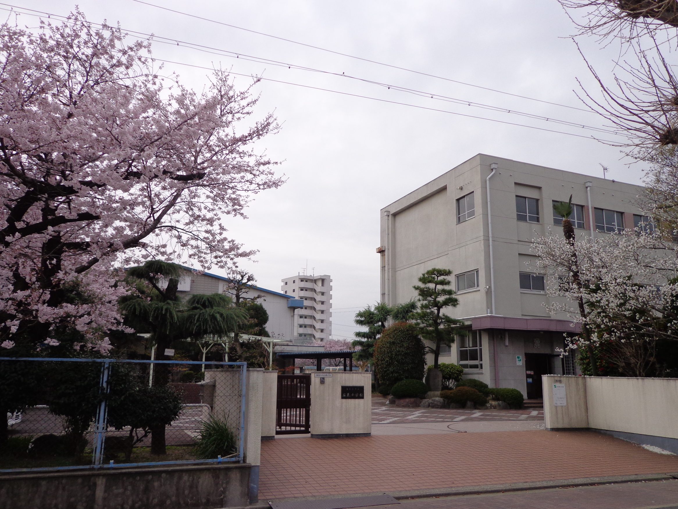 広見小学校