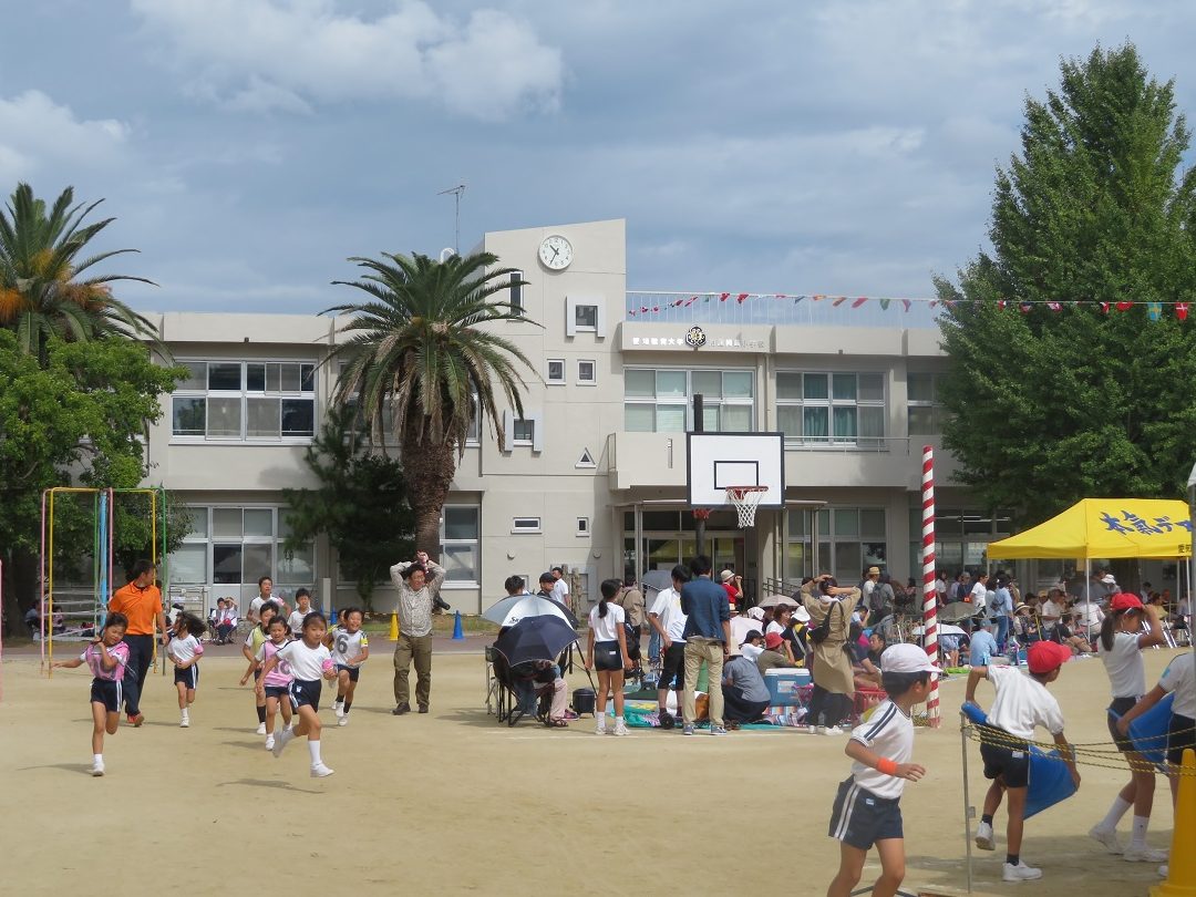 愛知教育大学附属岡崎小学校