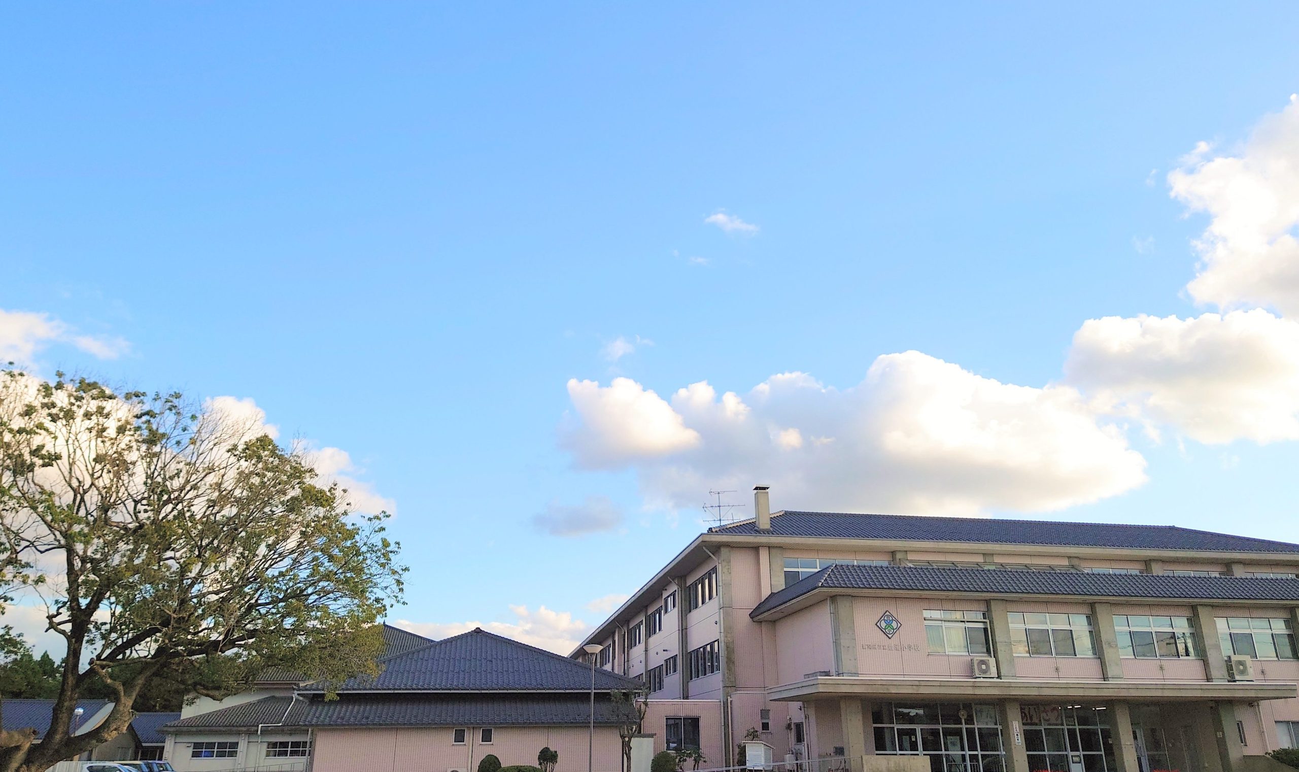新発田市立豊浦小学校
