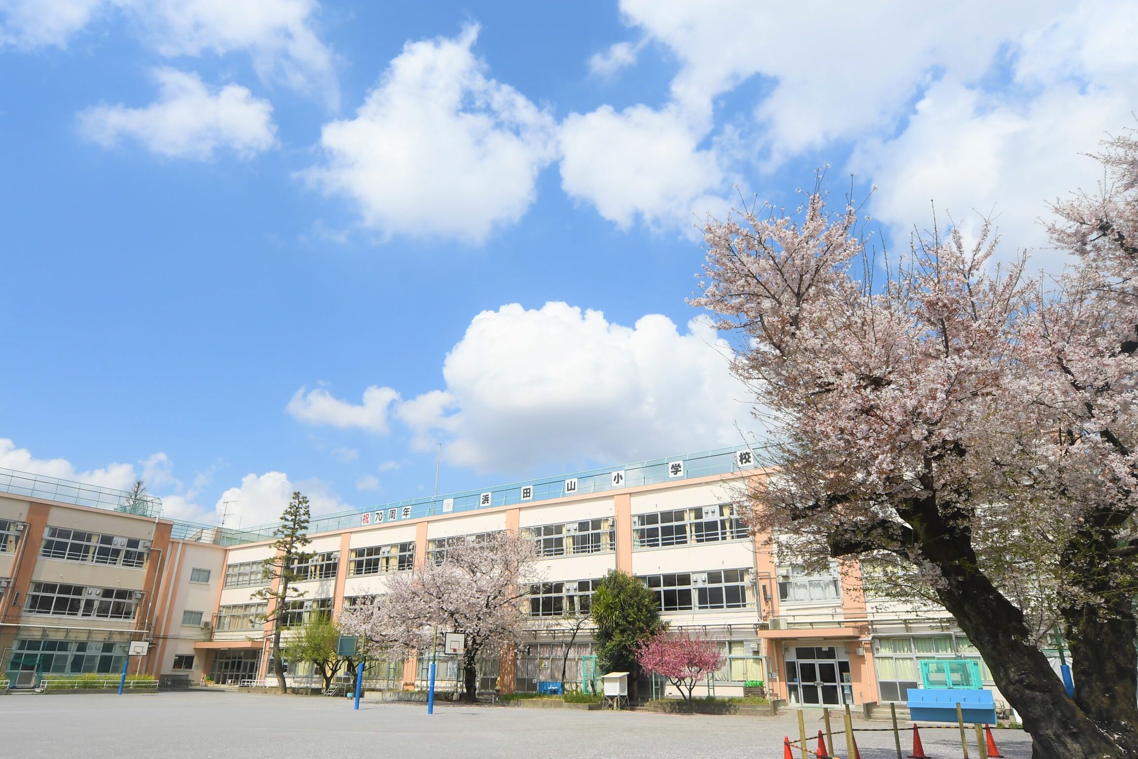 杉並区立浜田山小学校