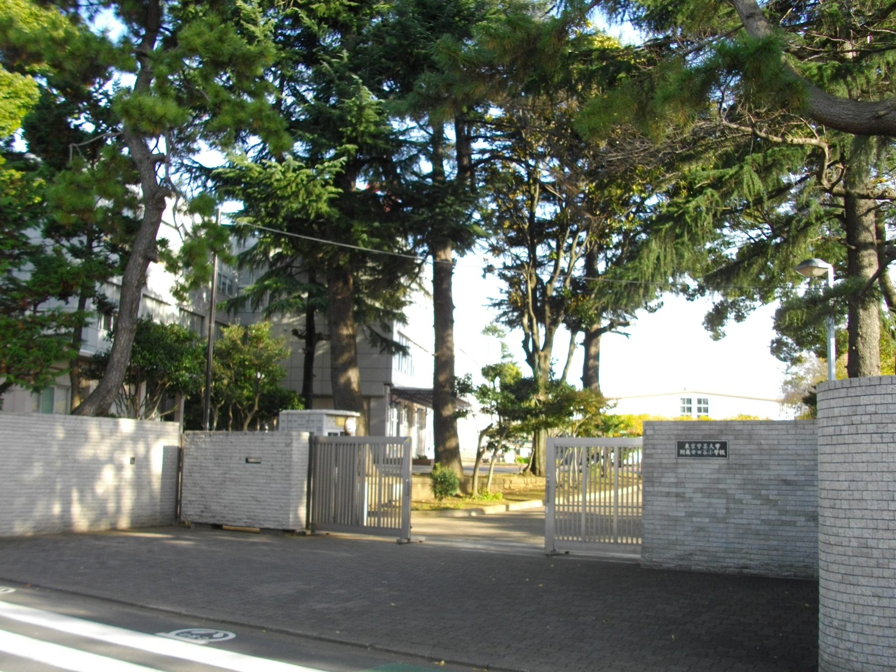 東京学芸大学附属世田谷小学校