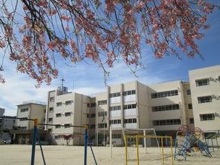松戸市立中部小学校