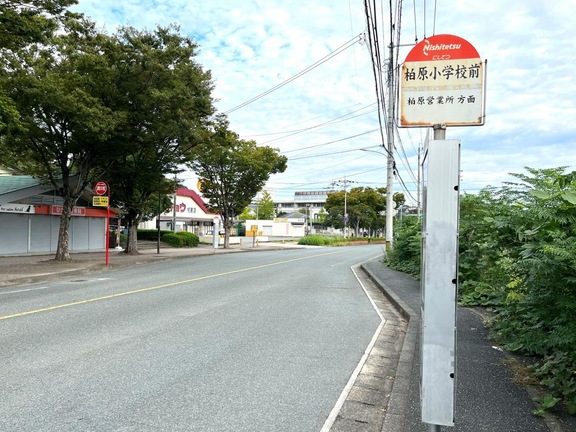柏原小学校前（バス）