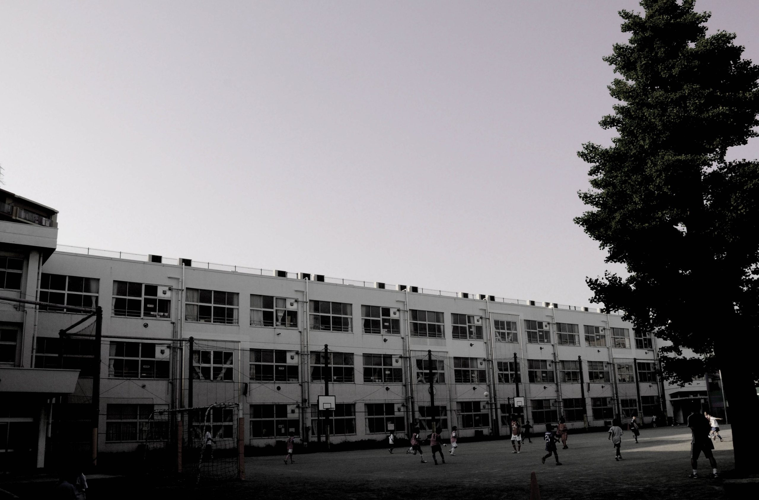 横須賀市立田戸小学校