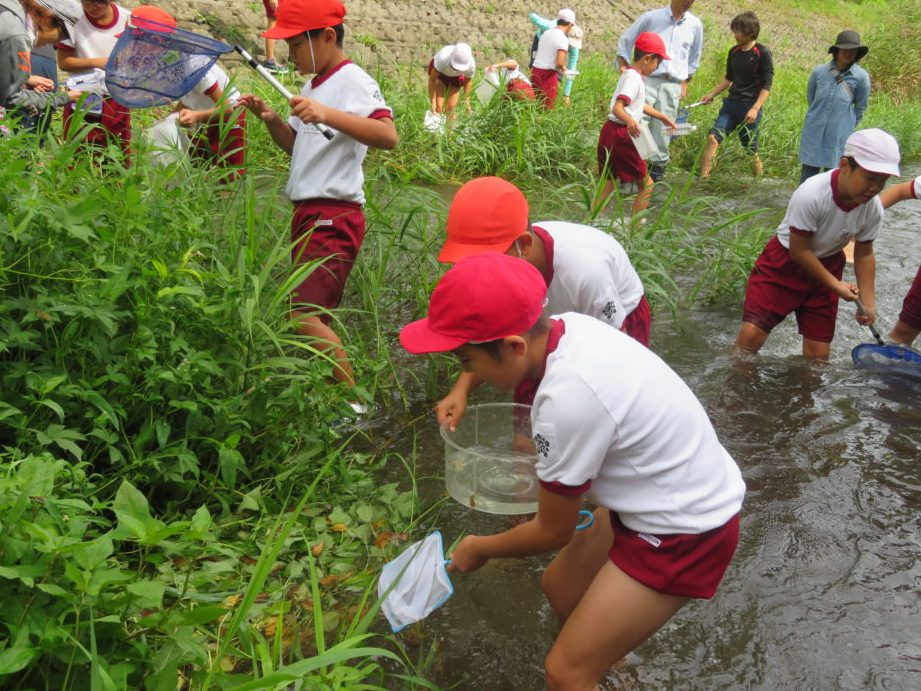 気仙沼市立九条小学校
