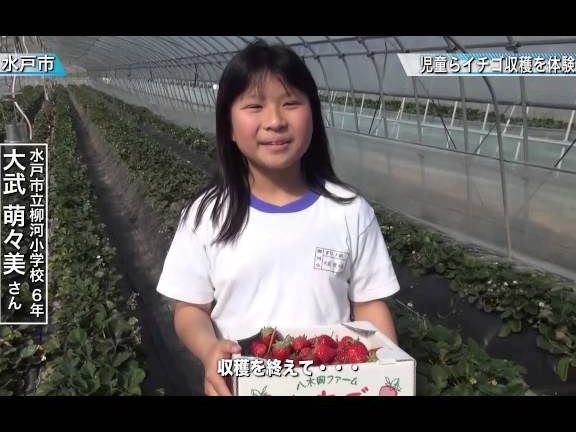 水戸市立柳河小学校