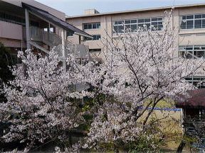 浅口市立金光小学校