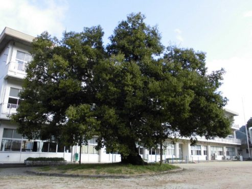浜松市立浦川小学校