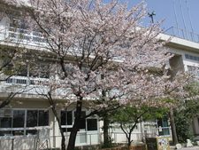 浦安市立北部小学校