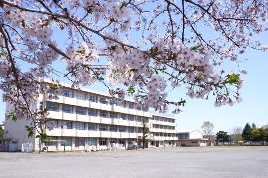 海老名市立中新田小学校