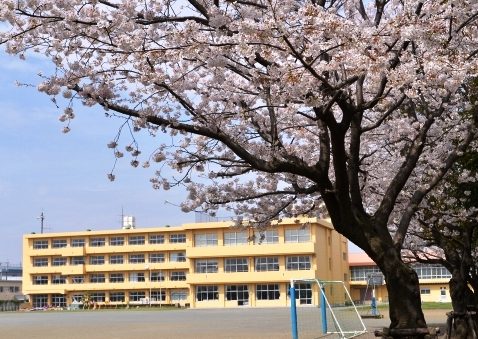 海老名市立社家小学校