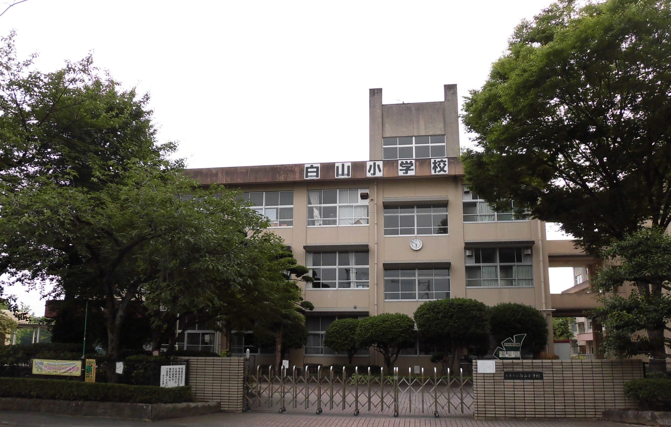 熊本市立白山小学校