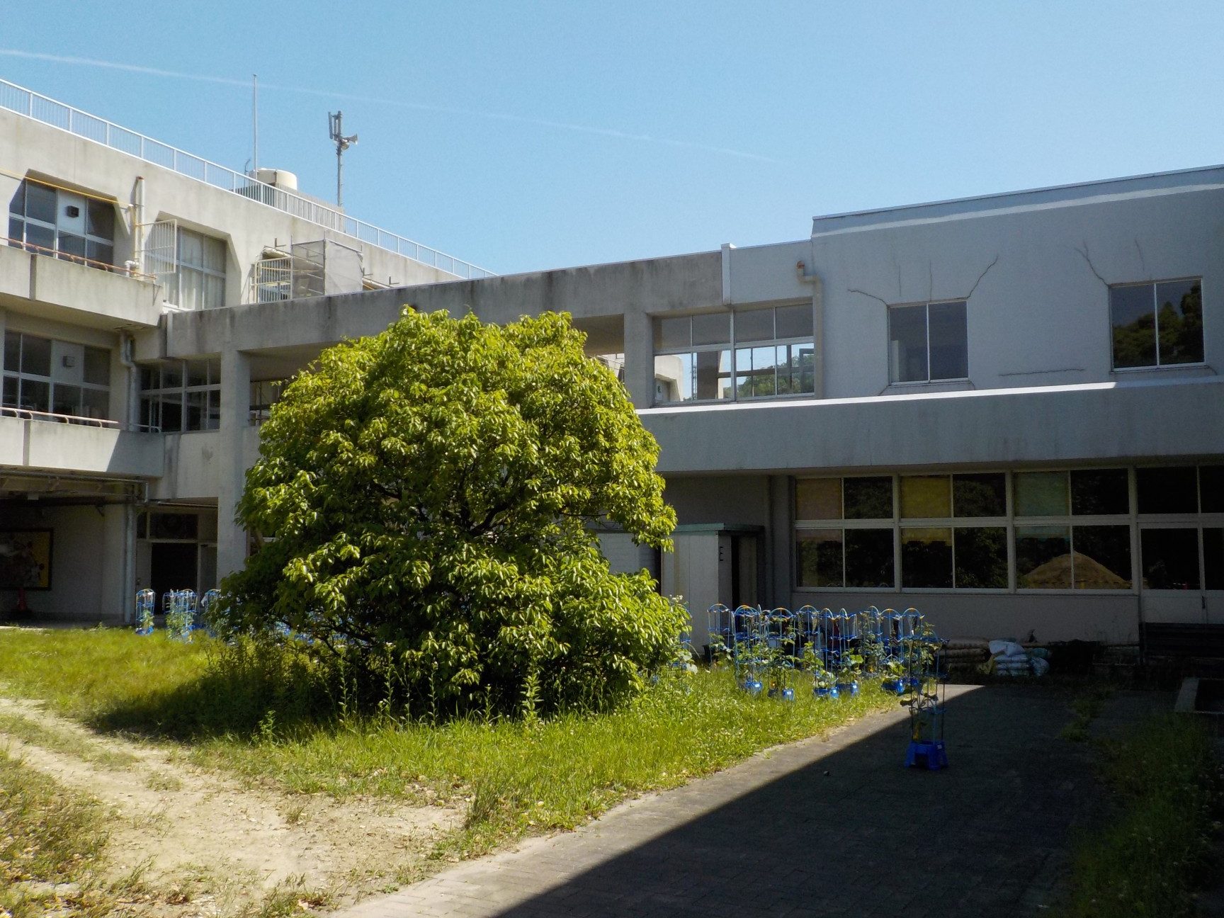 生駒市立生駒東小学校