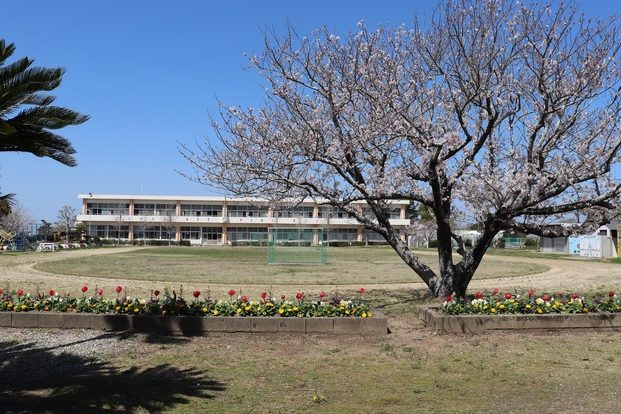 田原市立亀山小学校