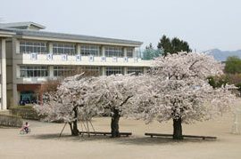 盛岡市立青山小学校
