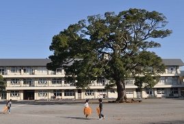 相模原市立新磯小学校