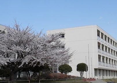 石巻市立山下小学校