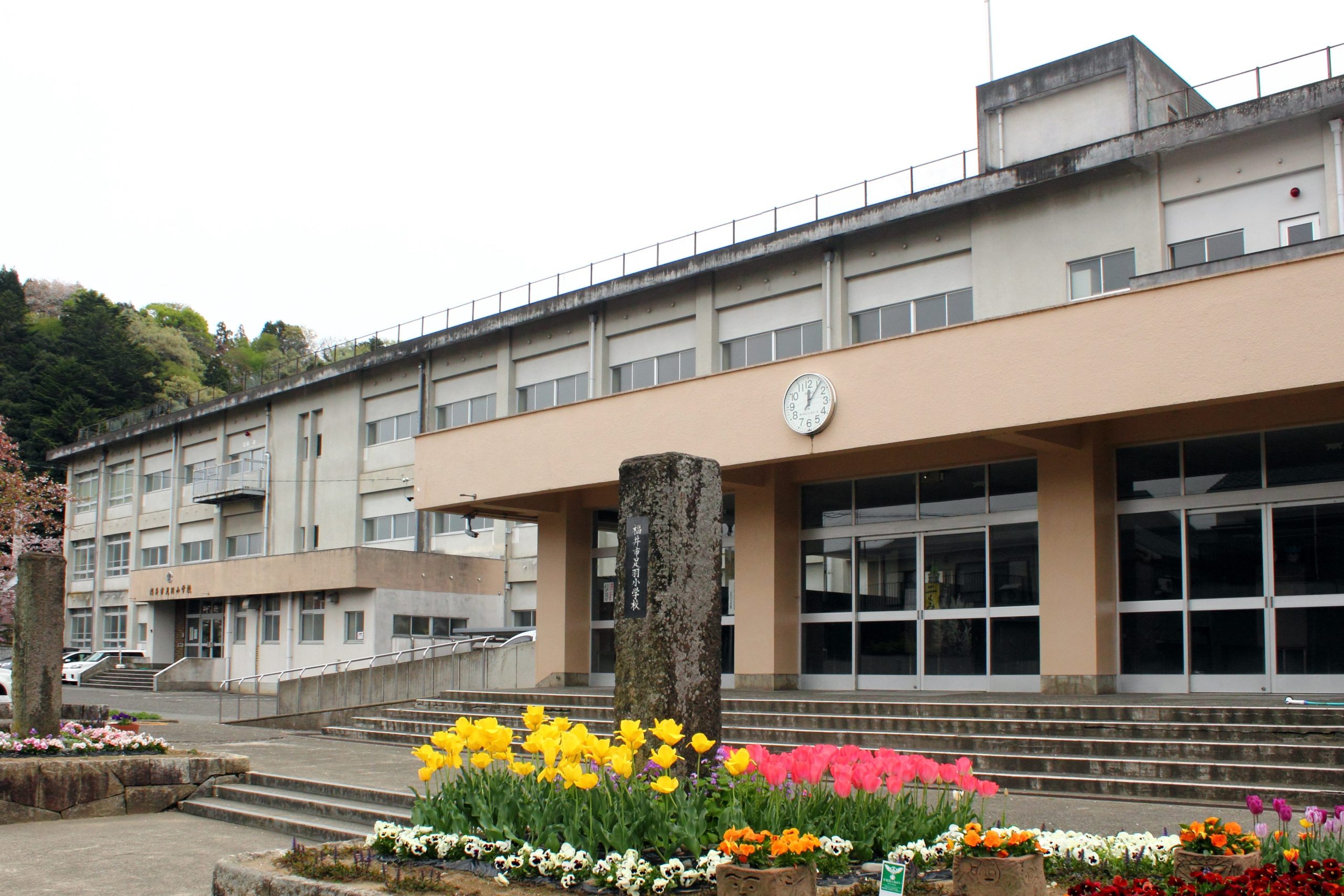 福井市足羽小学校