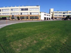 立川市立新生小学校