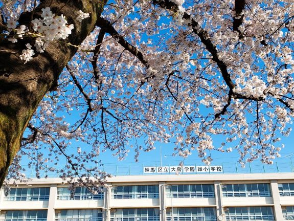 練馬区立大泉学園緑小学校