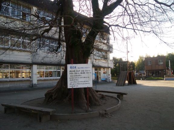 肝付町立高山小学校
