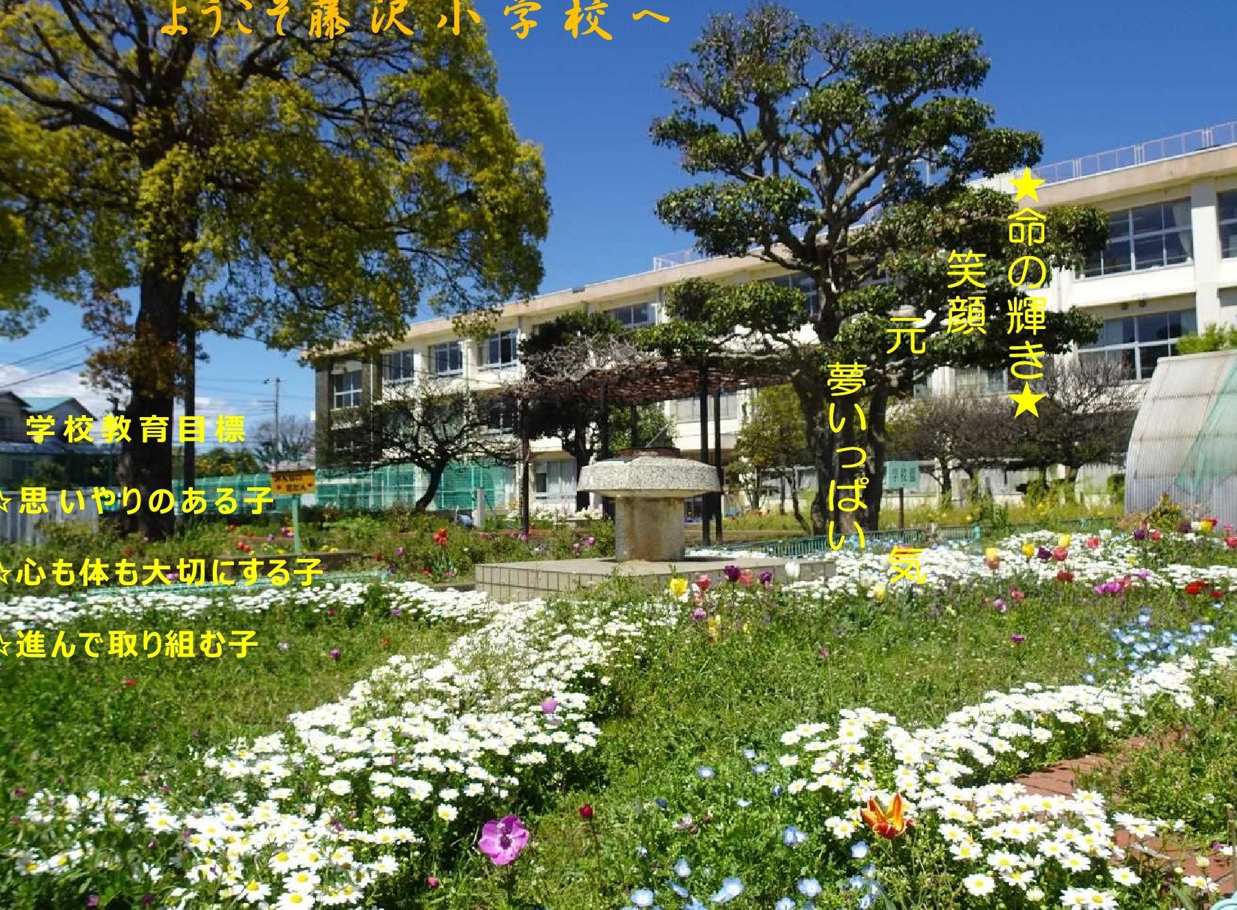 藤沢市立藤沢小学校