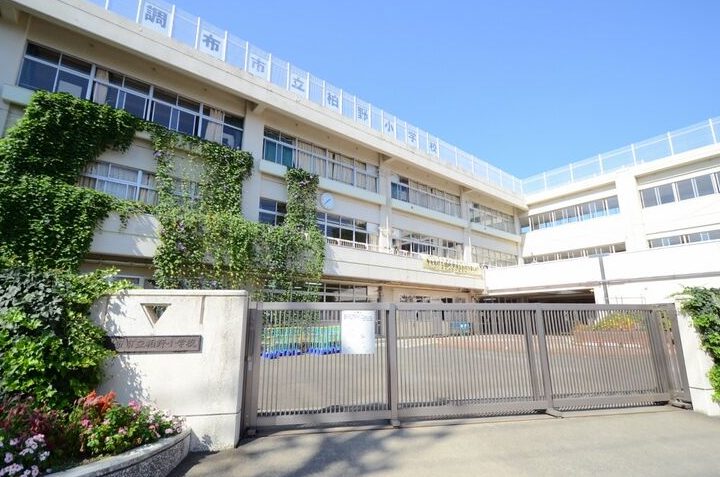 調布市立柏野小学校